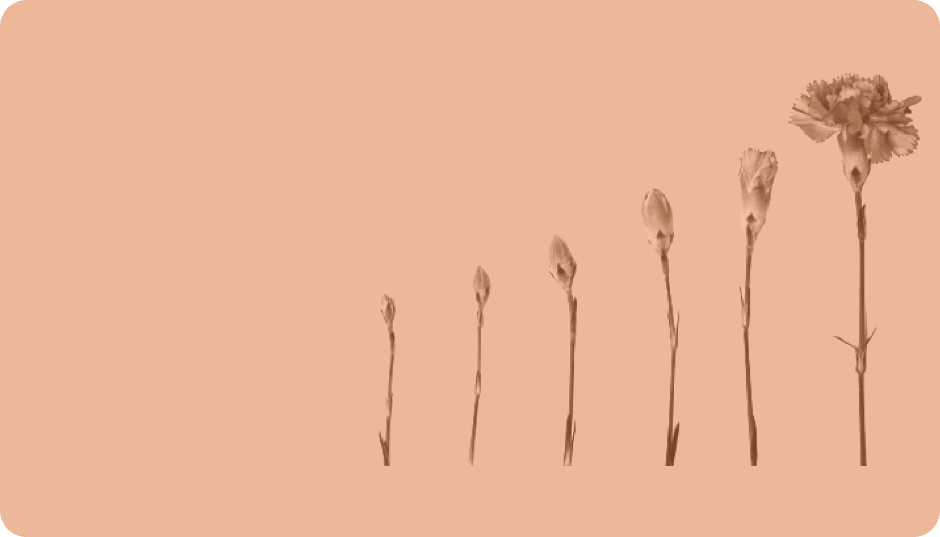 How to Compile a Comprehensive Personal Health Record (PHR)