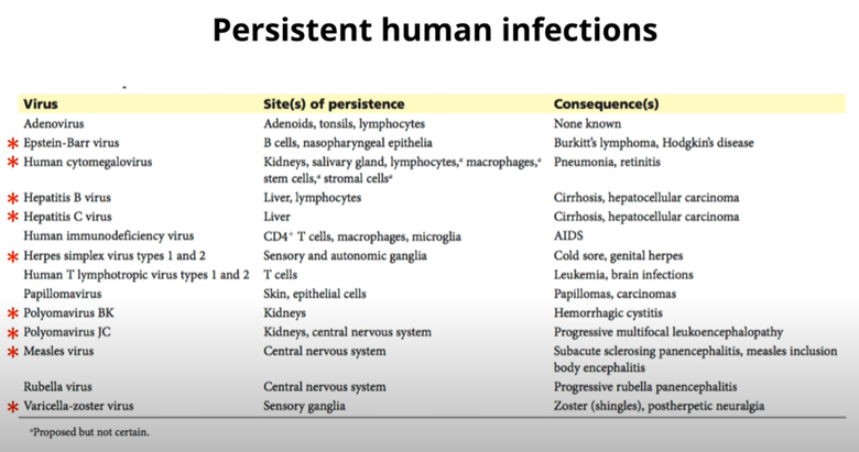 Common persistent viruses